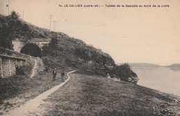 44 - LE CELLIER - Tunnel De La Saulzaie Au Bords De La Loire - Le Cellier