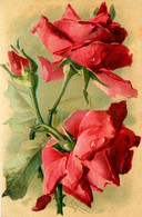 Catharina KLEIN Klein * CPA Illustrateur Gauffrée Embossed * Roses Fleurs * N°S. 4021 - Klein, Catharina