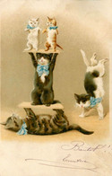 Chats Humanisés * CPA Illustrateur Gauffrée Embossed 1903 * Cirque Circus Numéro Funambule * Cat Cats Katze - Chats
