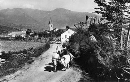 CPSM De QUERIGUT - L'entrée Du Village. - Sonstige & Ohne Zuordnung