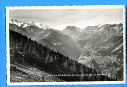 NY936, La Vallée De Salvan, Les Aiguilles Rouges Et Le Mont Blanc, 5585, Perrochet & Matile, Non Circulée - Salvan