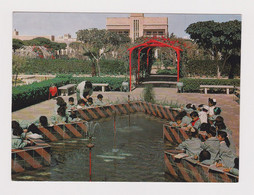 KUWAIT Kinder Garden Children Playing View Vintage Photo Postcard CPA (49097) - Kuwait