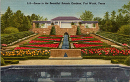 Texas Fort Worth Scene In Botanical Gardens 1962 Curteich - Fort Worth