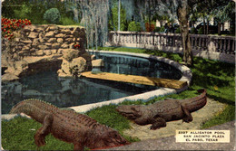 Texas El Paso San Jacinto Plaza Alligator Pool - El Paso