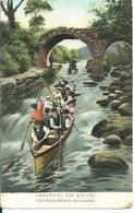 SHOOTING THE RAPIDS - OLD WEIR BRIDGE - KILLARNEY - COMIC POSTCARD POSTED 1906 FROM BANGOR - Kerry