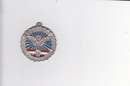 CROATIA  - CRO ARMY   --  CRO AIRFORCE  --   MEDAL  -  40 Mm  --  SUVERENA SAMOSTALNA REPUBLIKA HRVATSKA - Autres & Non Classés