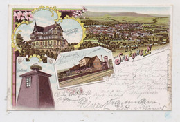 0-6200 BAD SALZUNGEN, Lithographie, Kinder-Heilstätte, Gradierwerk, Storchennest, Gesamtansicht - Bad Salzungen