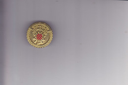 CROATIA  - CRO ARMY   --  HOS  MEDAL:  HRVATSKI DOMOLJUB  --  30 Mm  --  URVHD  --  10. IV. 1941 - 25. VI. 1991. - Other & Unclassified