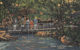 814 – Bermuda – Fishing At The Devil’s Hole – Animation – By Yankee Store – VG Condition – 2 Scans - Bermuda