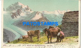 174525 SWITZERLAND ALP OTA EVENING ON THE ROSEGGLETSCHER COSTUMES MAN WITH COW POSTAL POSTCARD - Egg