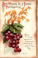 Thanksgiving Greetings With Grapes 1912 Clapsaddle - Thanksgiving