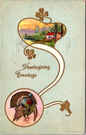 Thanksgiving Greetings With Turkey 1909 - Thanksgiving