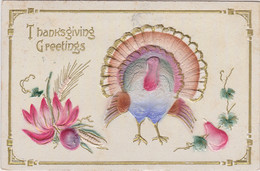 Thanksgiving Greetings With Turkey 1912 - Thanksgiving