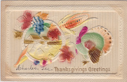 Thanksgiving Greetings With Turkey 1915 - Thanksgiving