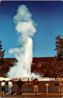 Yellowstone National Park Old Faithful Geyser - USA National Parks