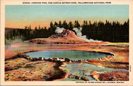 Yellowstone National Park Crested Pool And Castle Geyser Cone 1947 Curteich - USA Nationalparks