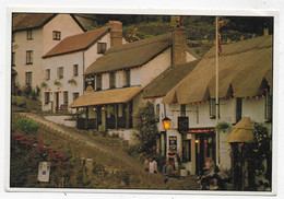 (RECTO / VERSO) DEVON - LYNMOUTH - THE RISING SUN - CPM FORMAT 170 X 115 Mm - Lynmouth & Lynton