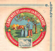 Tyrosémiophilie Tyrosémiophile étiquette Camembert Fromagerie D'Aumale Seine Martime 76 Normandie Laitière - Quesos