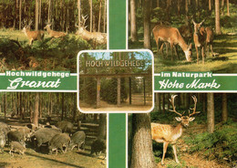 011003  Hochwildgehege Granat Im Naturpark Hohe Mark - Mehrbildkarte - Haltern
