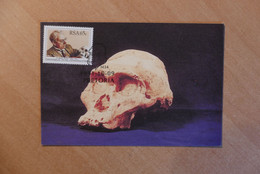 Maximum Card, Palaeontology - Autres