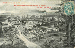 Monthureux Sur Saône * Vue Générale De La Grande Fabrique De Meubles A. GRASSET * Usine Industrie * Bois Métier - Monthureux Sur Saone