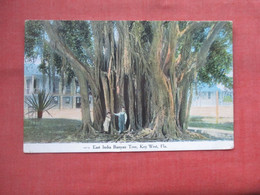 East Indian Banyan Tree  Key West  Florida > Key West      Ref  5290 - Key West & The Keys