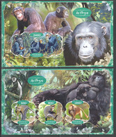 JA570 2020 ANIMALS & FAUNA MONKEYS 1KB+1BL MNH - Monkeys