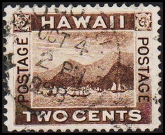 1894. HAWAII. TWO CENTS. (Michel 58) - JF510890 - Hawaii