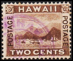 1894. HAWAII. TWO CENTS. (Michel 58) - JF510893 - Hawaii