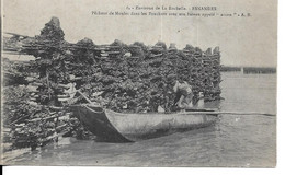 CPA  LA ROCHELLE 17 :    ESNANDES : Pêcheur De Moules Dans Les Bouchots - Carte  Non Voyagée  Pt F - La Rochelle