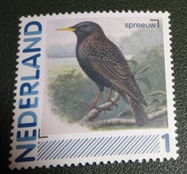 Nederland - NVPH - 2011 - 2791-Aa-58 - Persoonlijk Postfris - MNH - Spreeuw - Vogel - Vogels - Francobolli Personalizzati