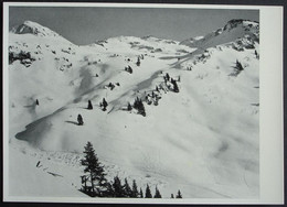 MOLLIS Schilt Ski-Touren Aufstieg Und Abfahrt Stempel Berghaus Fronalpstock - Mollis