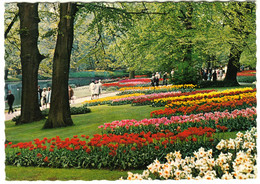 LISSE Keukenhof 1968 " Holland In Bloementol " Frankeerd Naar Neu- Moresnet Belgie - Lisse