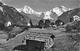 Wilderswil Eiger Mönch U. Jungfrau - Wilderswil