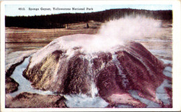 Yellowstone National Park Sponge Geyser - USA National Parks