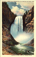 Yellowstone National Park Lower Falls From Below Curteich - USA National Parks