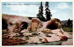 Yellowstone National Park Crater Of Grotto Geyser - USA Nationalparks