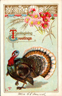 Thanksgiving Greeting With Turkey 1911 - Thanksgiving