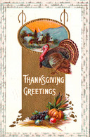 Thanksgiving Greeting With Turkey 1912 - Thanksgiving