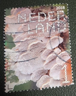 Nederland - NVPH - Xxxx - 2018 - Gebruikt - Beleef De Natuur - Plooivlieswaaiertje - Used Stamps