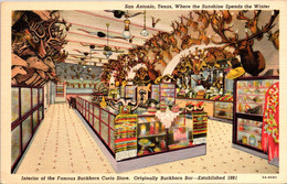 Texas San Antonio Buckhorn Curio Store Interior Curteich - San Antonio