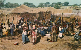 AFRIQUE  GAMBIE  A Gambian Village - Gambie