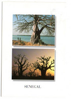 Sénégal --  Les Baobabs............timbre ,,,,cachet.....................à Saisir - Senegal