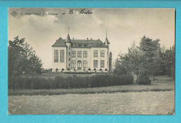 * Scherpenheuvel Zichem - Montaigu (Vlaams Brabant) * (SBP, Nr 2) Le Chateau, Kasteel, Castle, Schloss, Unique, TOP - Scherpenheuvel-Zichem