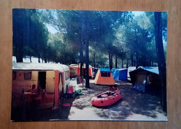 GROSSETO - Orbetello - Albinia - Camping Hawaii - La Pineta - Grosseto