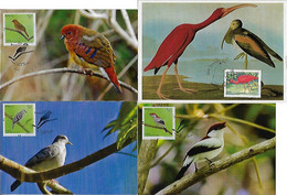 Brazil 2004 / 2017 4 Maximum Card Fauna Animal Bird Scarlet Ibis Araripe Manakin Blue-eyed Ground Dove Purple-winged - Altri