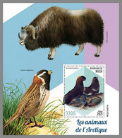 NIGER 2021 MNH Arctic Animals Arktische Tierwelt Animaux Arctique S/S - IMPERFORATED - DHQ2147 - Arctic Tierwelt