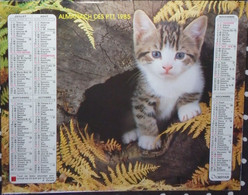 Calendrier Almanach Oberthur  Facteur 1985 Chat Chaton Chien  Calvados - Grand Format : 1981-90