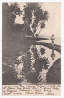 By Still Water S/w Gel.1904 Jamaika - Jamaica