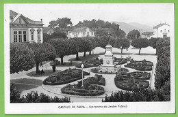 Castelo De Paiva - Um Trecho Do Jardim Público. Aveiro. Portugal (Fotográfico) - Aveiro